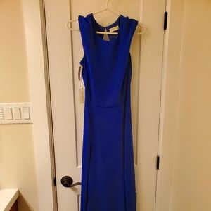 NWR Babaton Hamptons dress